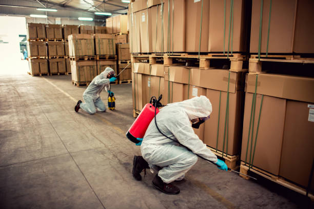Best Rat Extermination Near Me  in Palmetto, FL