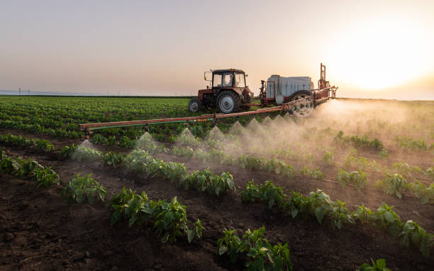 Best Mosquito Control Services  in Palmetto, FL