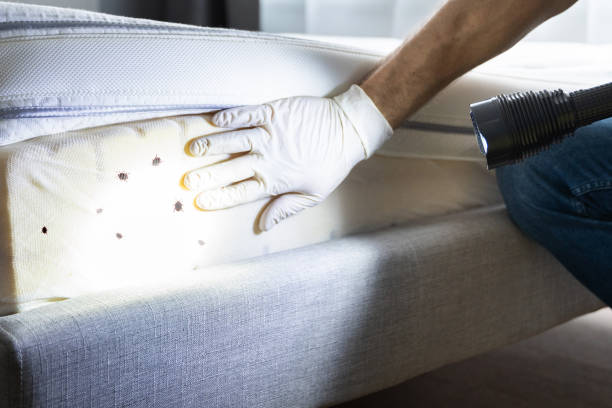 Best Commercial Pest Control Services  in Palmetto, FL