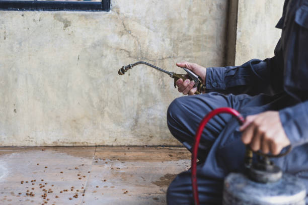 Best Termite Control Services  in Palmetto, FL
